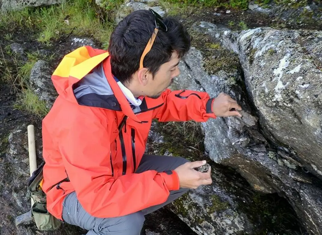 João Pacífico Machado ved NGU tar prøve av en bergart i Viggja i Skaun. Kanskje inneholder den nok av mineralet apatitt til at den kan bli analysert.
