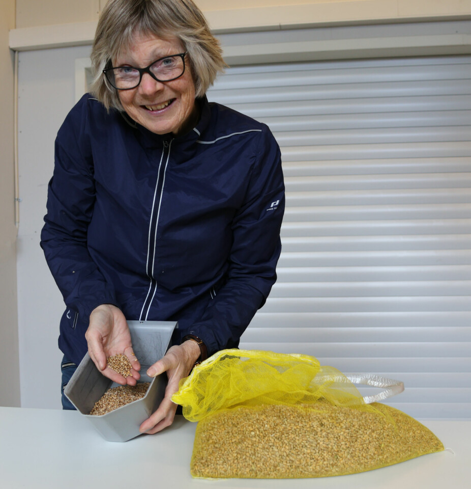 Professor Anne Kjersti Uhlen er godt fornøyd med kvaliteten på årets høsthvete.