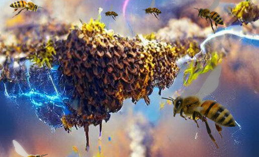 Insekter skaper elektrisk felt med styrke som en tordensky