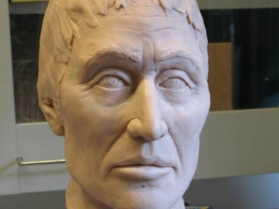 Niels Lynnerups modell av Sven Estridsen. Ansiktet er fra en modell av kongens kranium.