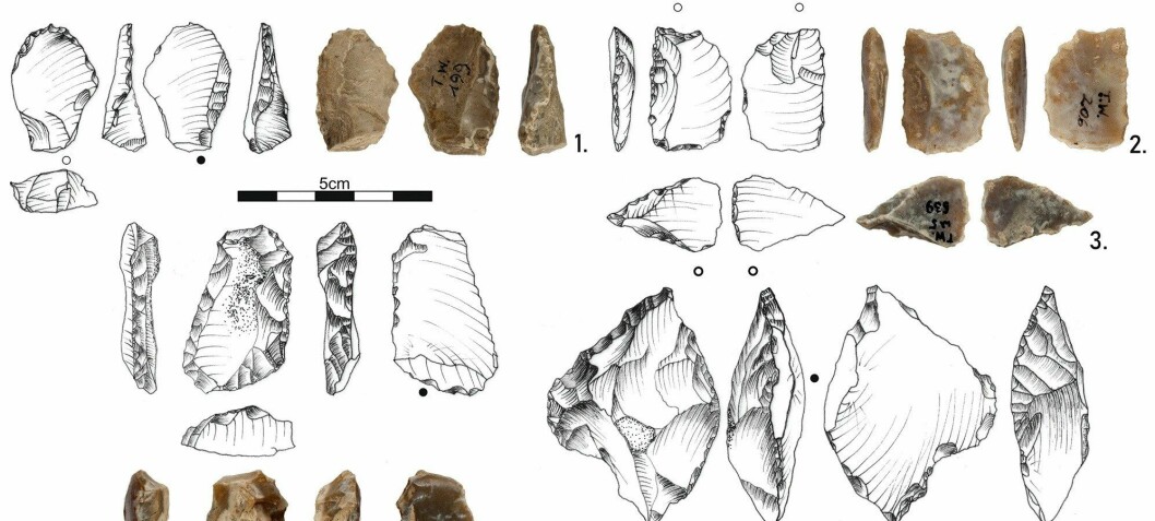 Steinredskaper funnet i polsk grotte er levninger fra gåtefull, utdødd menneskeart