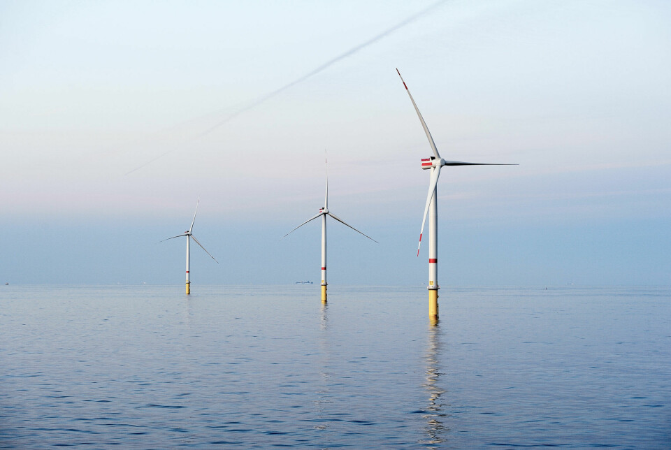 Ifølge det internasjonale energibyrået IEA kan havvind bli den største elektrisitetskilden i Europa.