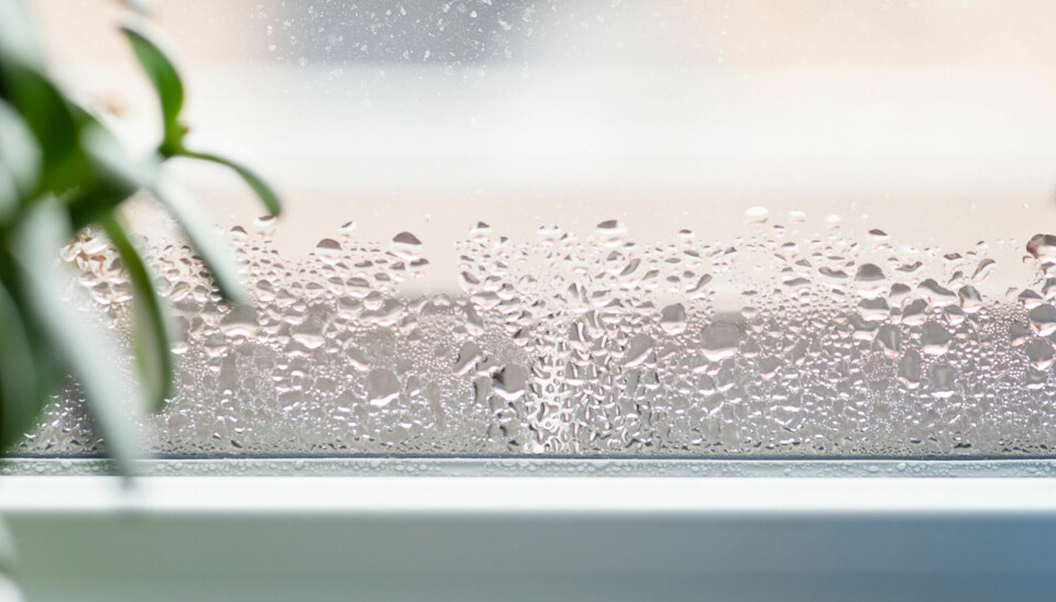 Det kan dugge på vinduet selv om den relative luftfuktigheten inne er lav. Spesielt om vinduet er dårlig isolert.