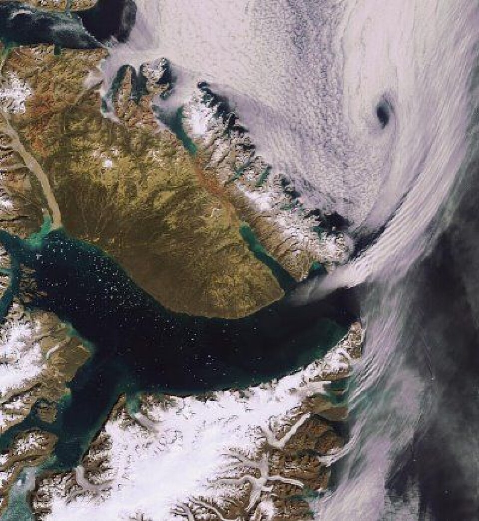 Scoresby Sund på Grønlands østkyst (70 grader N), sett fra ENVISAT i dag. (ESA).