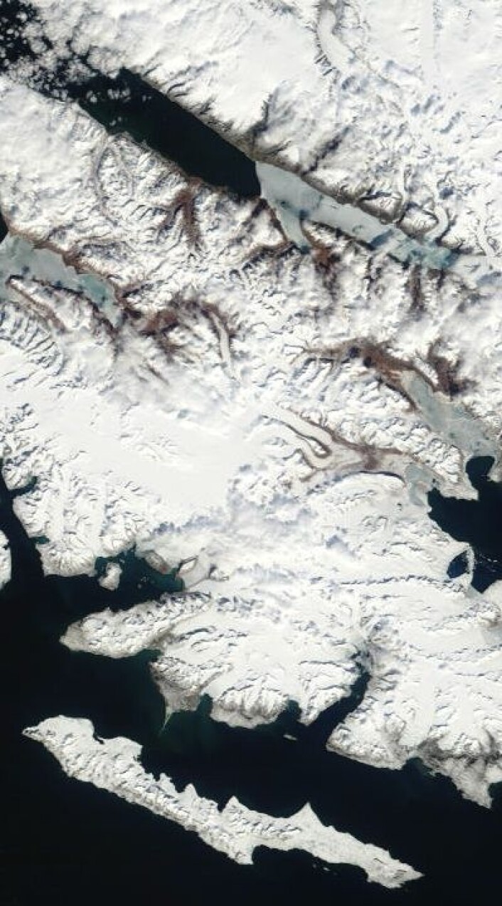 Ny Ålesund og traktene deromkring på Svalbard, sett fra satellitt 7. juni. Lite is nå i Wijdefjorden. (Nord er opp til venstre). (Foto: (NASA Terra MODIS)) Ny Ålesund og traktene deromkring på Svalbard, sett fra satellitt 7. juni. Lite is nå i Wijdefjorden. (Nord er opp til venstre). (Foto: (NASA Terra MODIS))