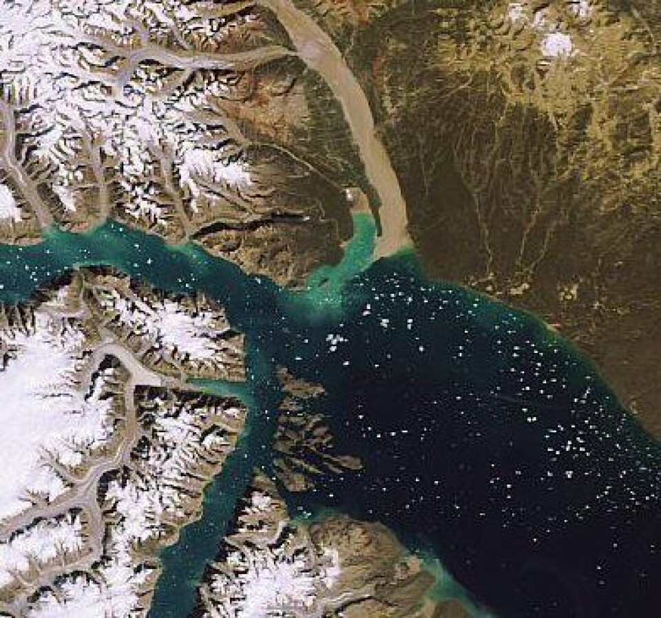 Nærbilde fra inne i Scoresby Sund, sett fra ENVISAT i dag. (ESA).