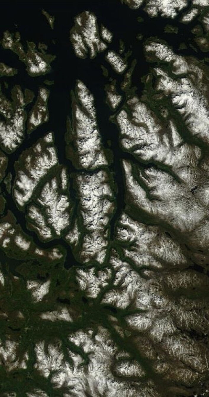 Fagert er landet. Slik så det ut i Troms da NASAs satellitt Terra passerte 13. juni. (Foto: (NASA Terra MODIS)) Fagert er landet. Slik så det ut i Troms da NASAs satellitt Terra passerte 13. juni. (Foto: (NASA Terra MODIS))
