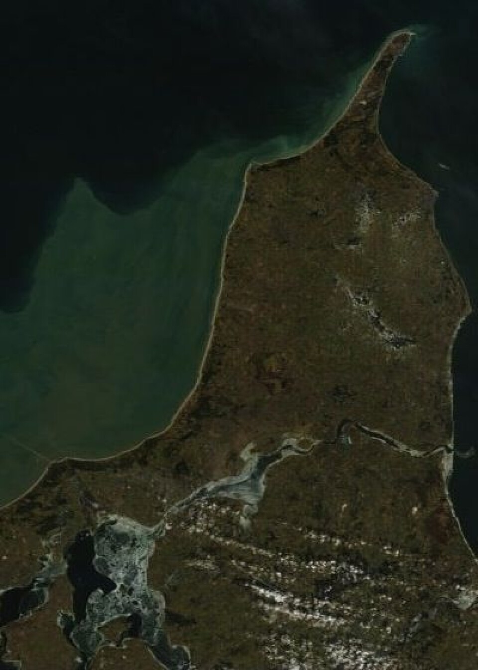 Litt is i Limfjorden på Jylland da NASAs satellitt Aqua passerte fredag 17. februar. Og tydelige fargevariasjoner ute i havet. (Foto: (NASA MODIS))