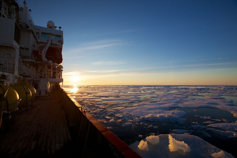 Isbryteregenskapene til RRS «James Clark Ross» kom godt med under ekspedisjonen, selv om det lenge så ut som om vi skulle unngå de store iskonsentrasjonene. Foto: (Foto: Sindre Skrede)