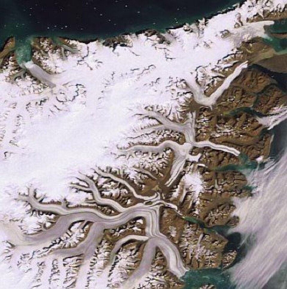 ENVISAT nærbilde av isbreene på sørsiden av fjorden (ESA).