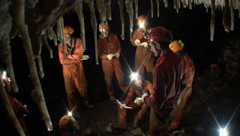 Astronautene på huletrening i CAVES 2011 rådslår sammen. Foto: ESA/S. Bresnik (Foto: ESA/S. Bresnik)