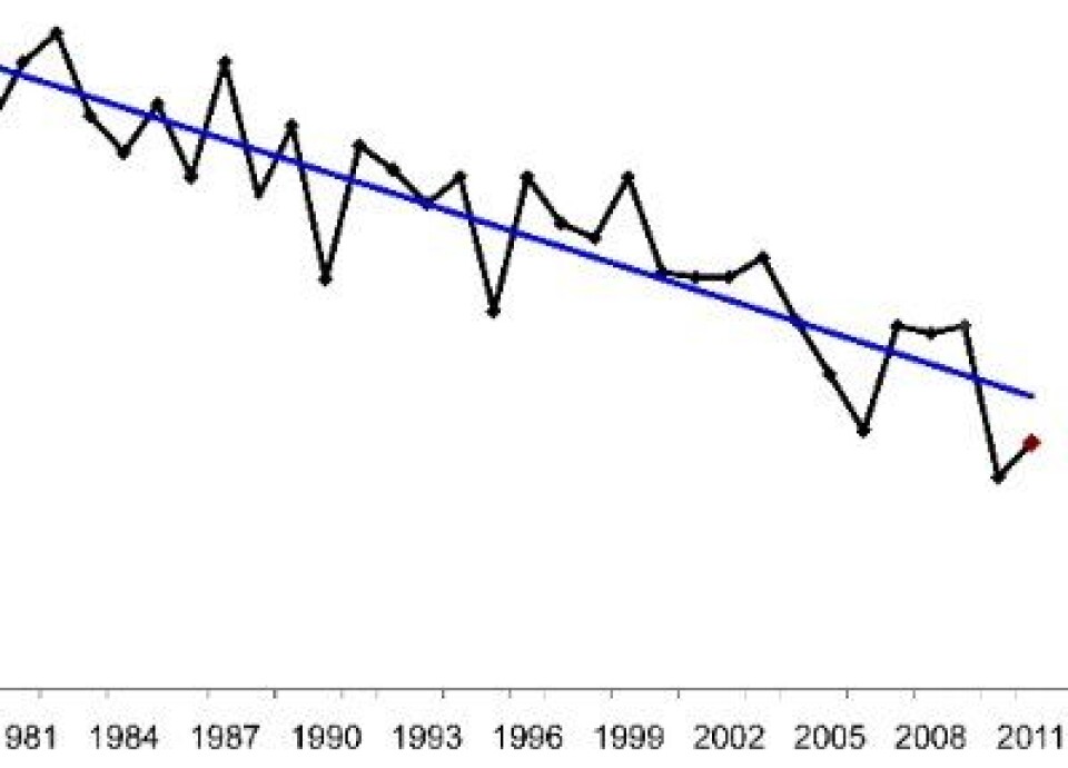 Sjøisens areal i Arktis i juni måned var det nest laveste satellittene har målt, iflg offisiell statistikk fra amerikanske NOAA NSIDC. Og trenden synes å være statistisk signifikant ... (Foto: NOAA NSIDC)