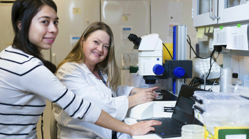 Researcher Hilde Loge Nilsen (right) together with research fellow Veronica Suaste Morales (left). Suaste Morales has calculated biological age in the experiments and is co-author of the article.