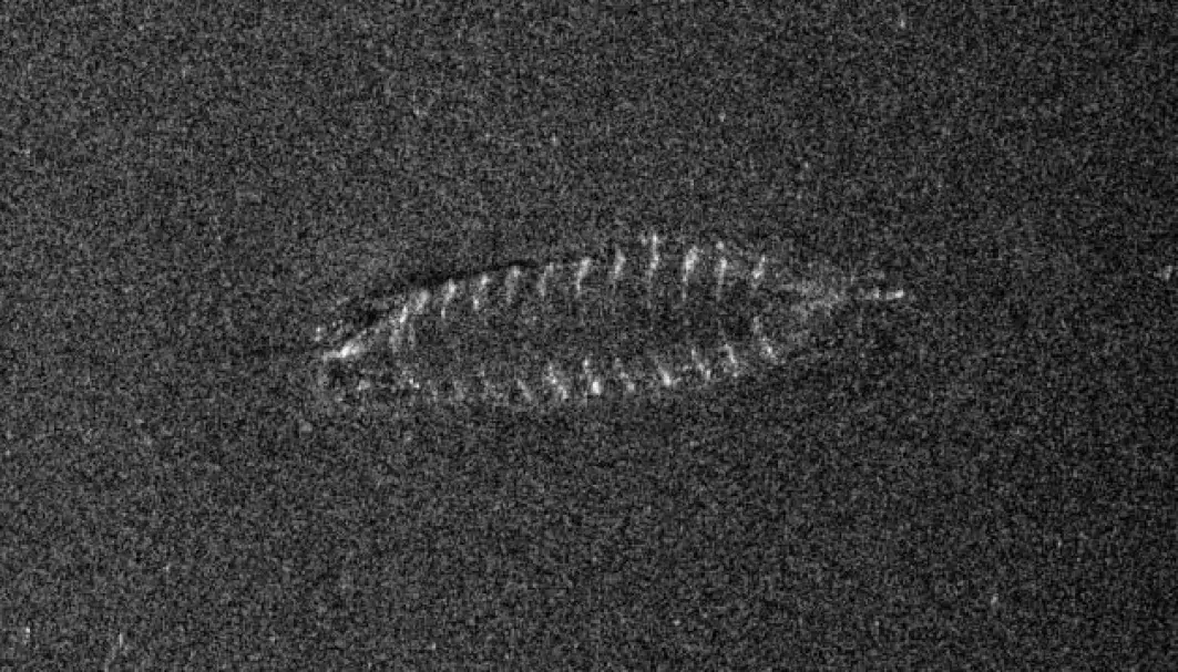Bildet av vraket er tatt med sonar av Forsvarets forskningsinstitutt. Ole Jacob Lorentzen, stipendiat ved Universitetet i Oslo, har bidratt med signalbehandling.