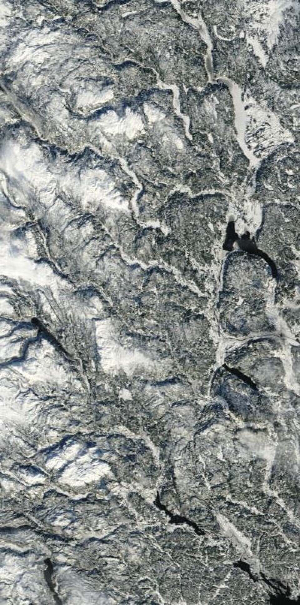 Klarvær på Østlandet fredag 17. februar, og vips var NASAs satellitt Terra der for å ta bilde. Vinter og snø. Men lite is på de store innsjøene i år. (Foto: (NASA MODIS))