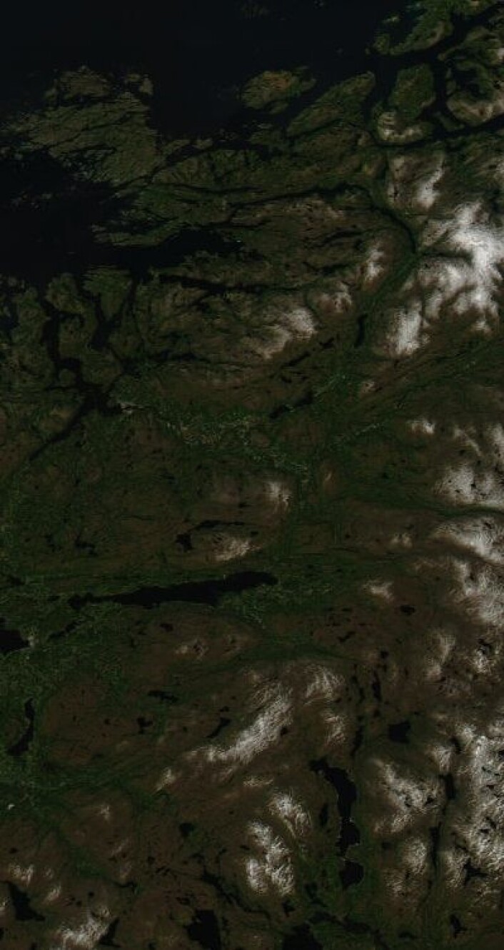 Nord-Trøndelag sett fra NASAs satellitt Aqua 12. juni i år. Fine farger i naturen der også, ja. (Foto: (NASA Aqua MODIS)) Nord-Trøndelag sett fra NASAs satellitt Aqua 12. juni i år. Fine farger i naturen der også, ja. (Foto: (NASA Aqua MODIS))