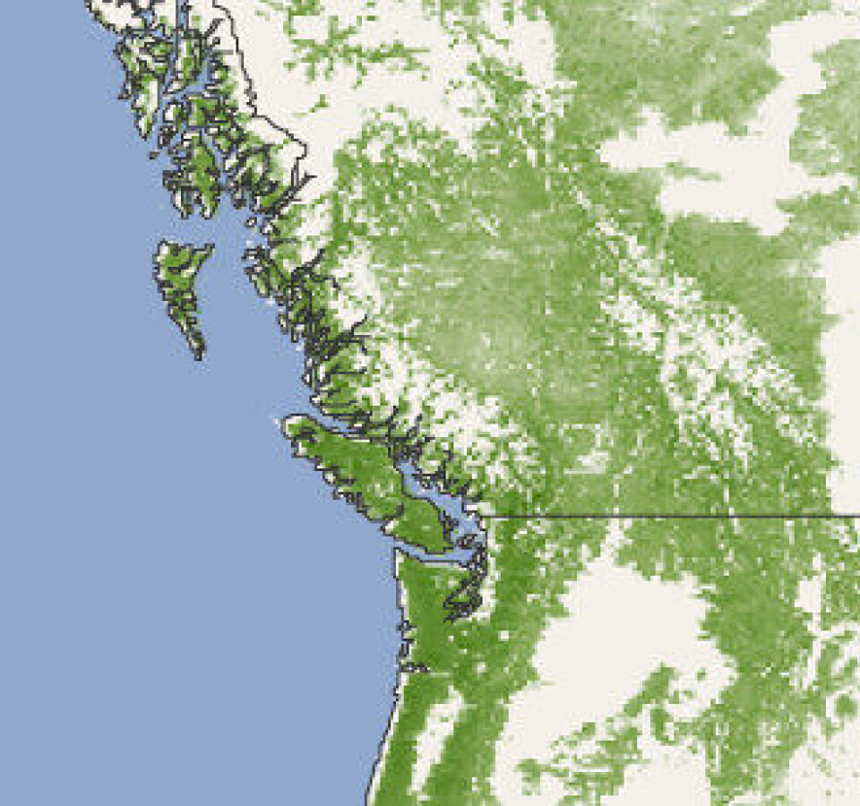 Høyden på skogen i USA og Canada, målt fra rommet. Grønnfargen er sterkest der hvor trærne er høyest. (NASA)