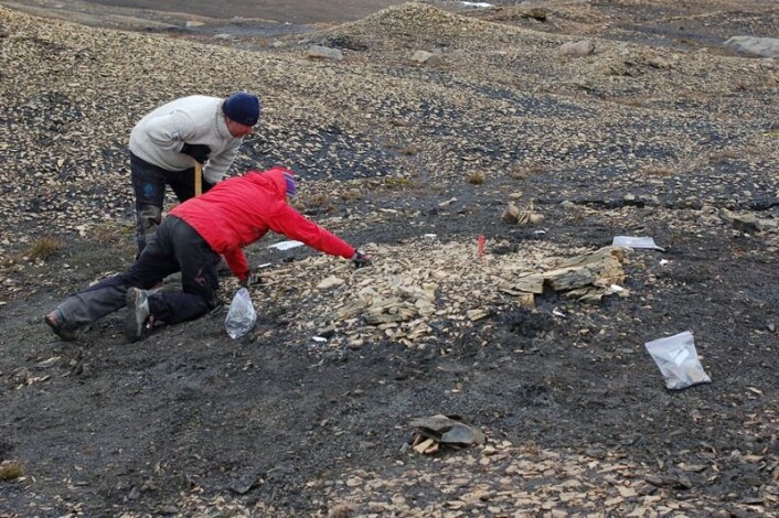 Etter et par timer står vi igjen med selve godbiten, men Pat og Jørn får seg dessverre en mindre nedtur. (Foto: Erik Tunstad) Etter et par timer står vi igjen med selve godbiten, men Pat og Jørn får seg dessverre en mindre nedtur. (Foto: Erik Tunstad)