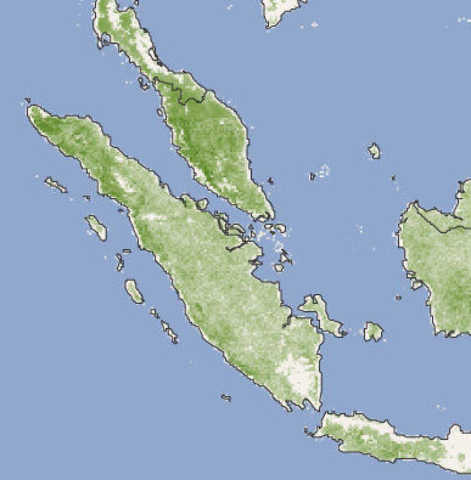 NASAs satellitter viser at trærne er høyere nordvest på Sumatra enn lengre sør på øya. (NASA)