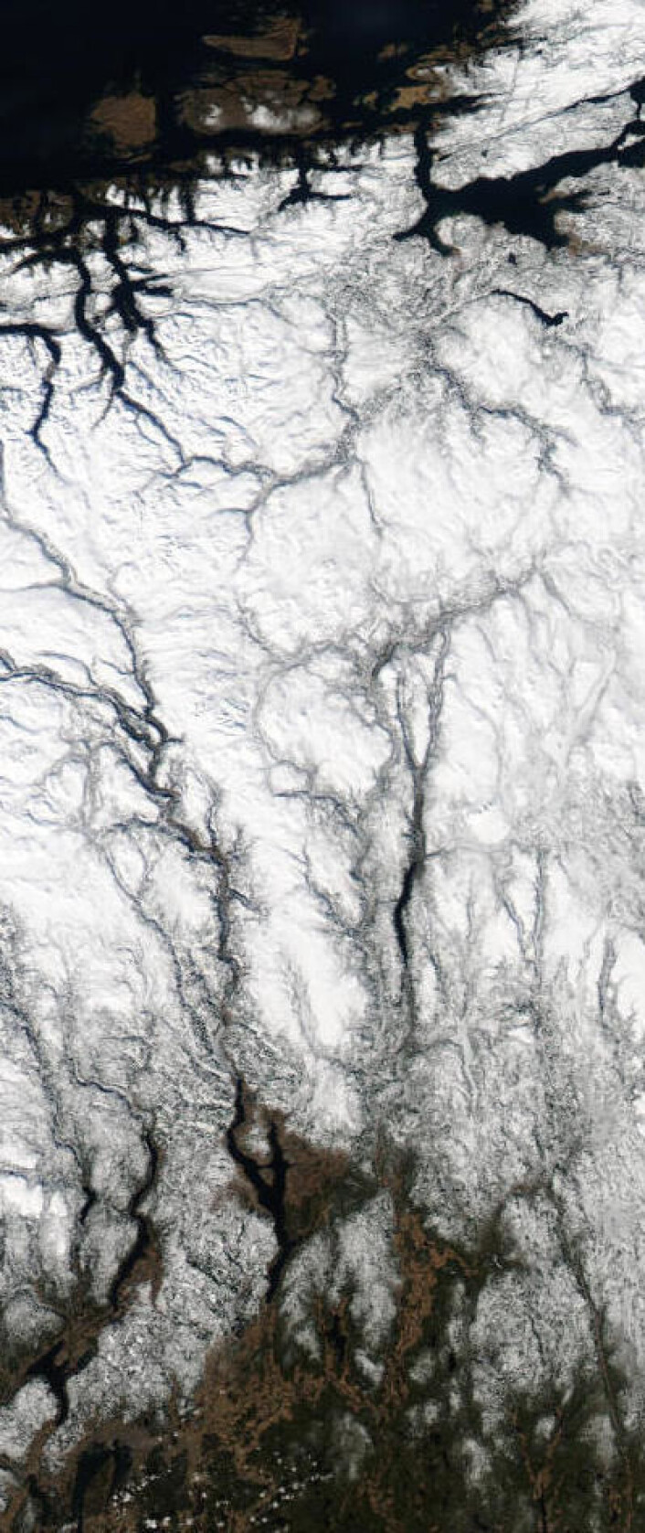 Sør-Norge i vårsol, sett fra NASA-satellitten Aqua tirsdag 25. mars 2014. (Oppløsningen er redusert med 2x for å få plass til et bredere spor). (Foto: (NASA Aqua MODIS)) Sør-Norge i vårsol, sett fra NASA-satellitten Aqua tirsdag 25. mars 2014. (Oppløsningen er redusert med 2x for å få plass til et bredere spor). (Foto: (NASA Aqua MODIS))
