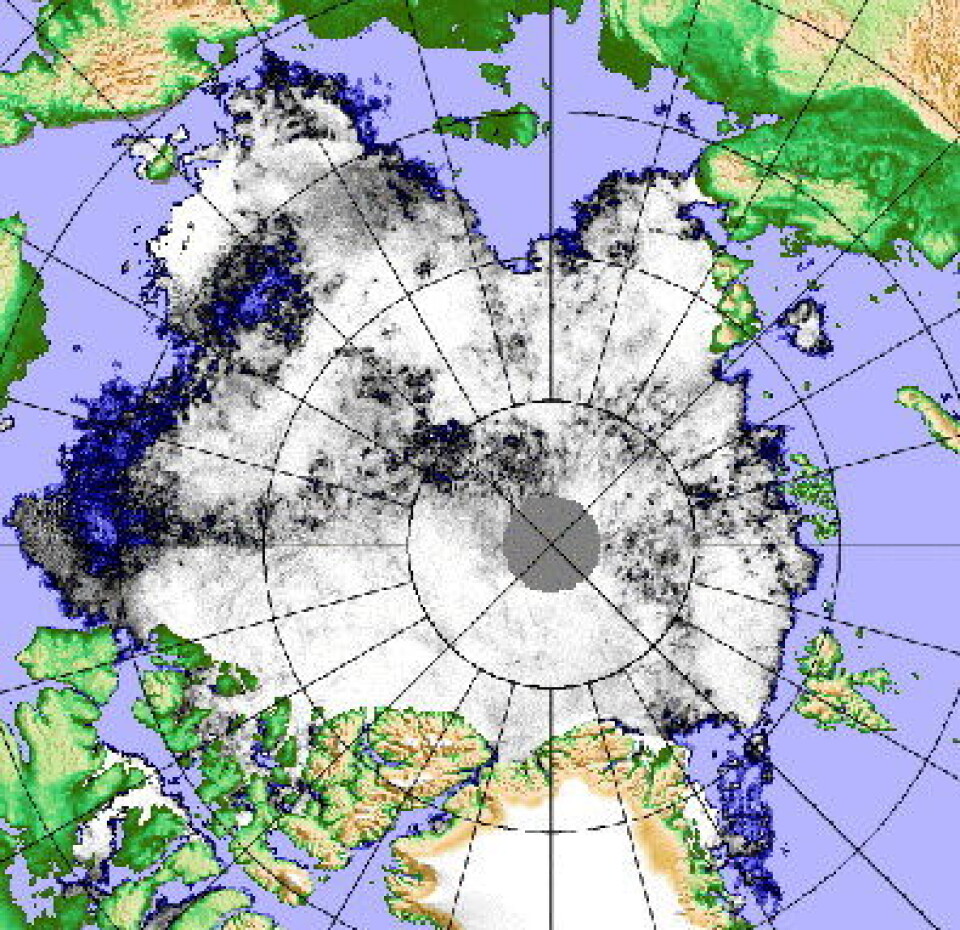 Isdekket i Arktis 8 august. Det er ikke helt enkelt å seile gjennom Nordøstpassasjen nå. (Polarview/Univ i Bremen).
