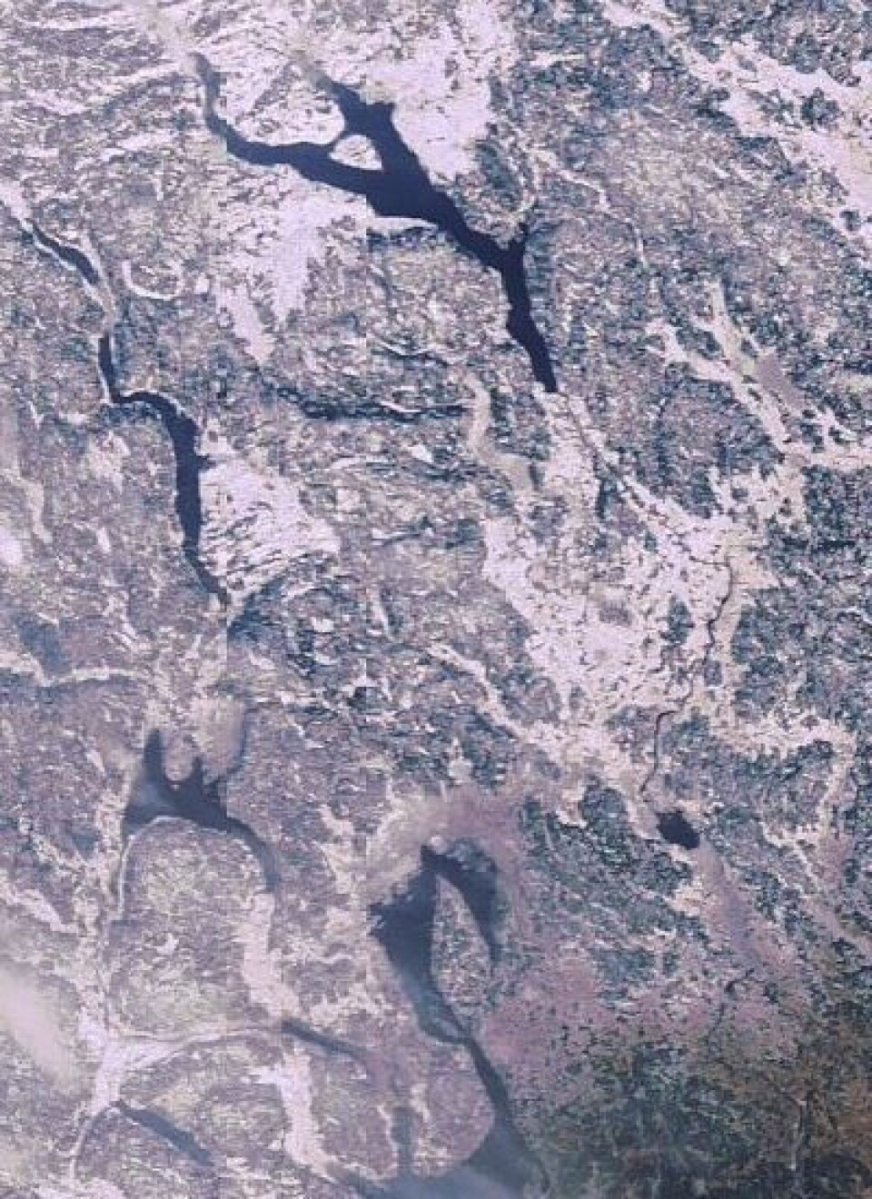 Oslo og omland sett fra ESAs ENVISAT torsdag 23 februar. Halvdan Svarte ville neppe ha prøvd å krysse Randsfjorden med hest og slede og mye folk denne vinteren ... (Foto: (ESA))