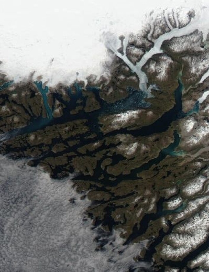 Mye isfjell i fjorden ved Eirik Raudes gamle hjemtrakter nå. (Foto: (NASA Aqua MODIS)) Mye isfjell i fjorden ved Eirik Raudes gamle hjemtrakter nå. (Foto: (NASA Aqua MODIS))