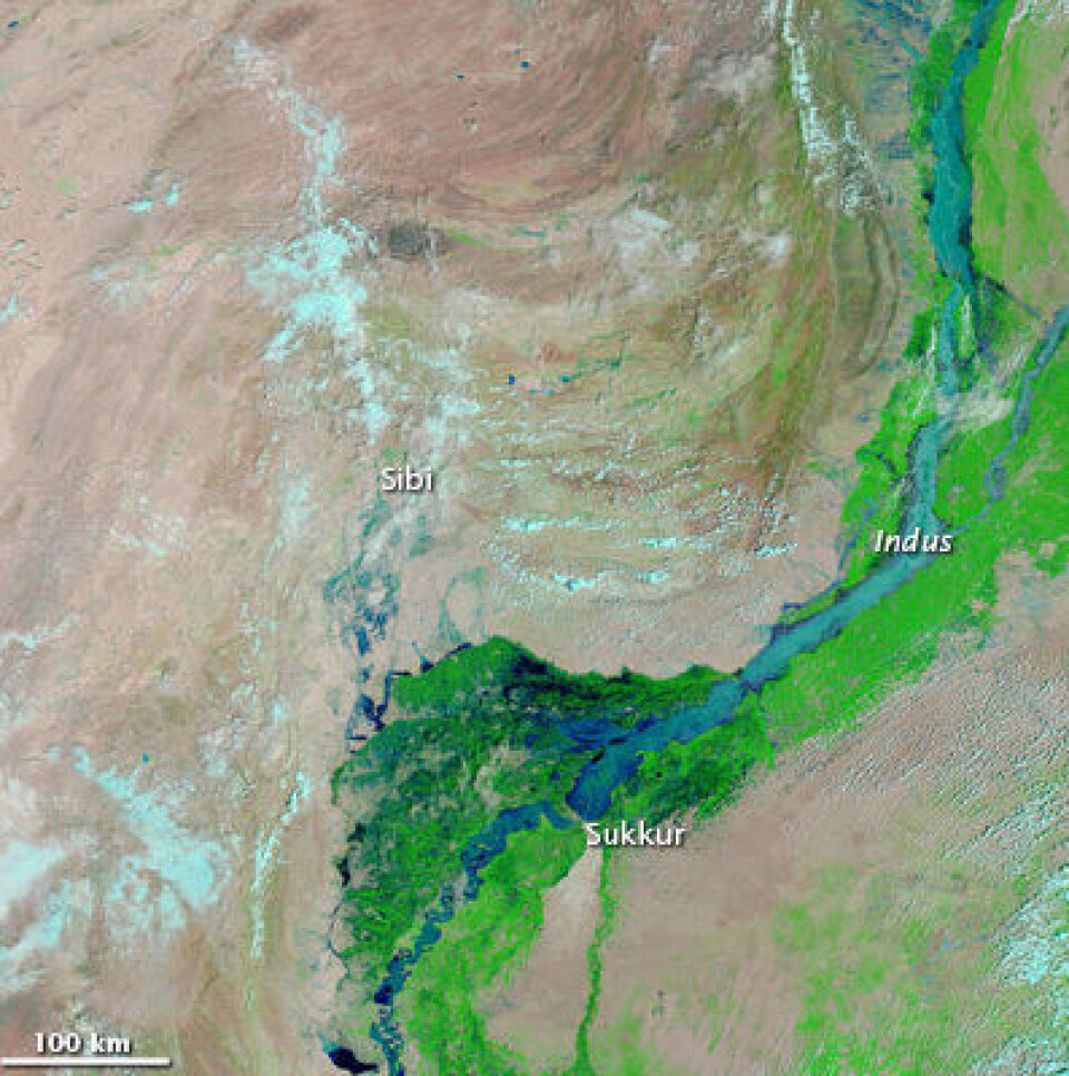 Flom i Pakistan. Her er Indus observert 11 august. Se forskjellen fra neste bilde! (NASA)