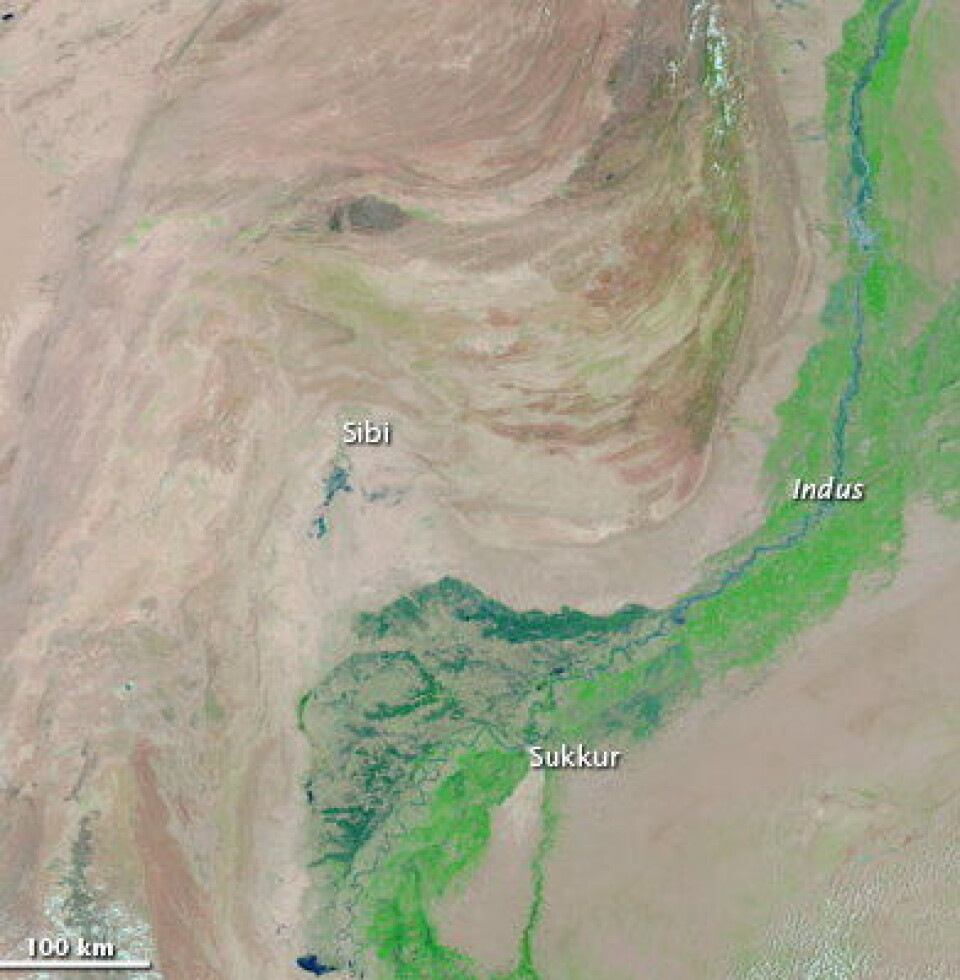 Indus observert fra satellitt 10 juli i år, før flommen begynte. (NASA)