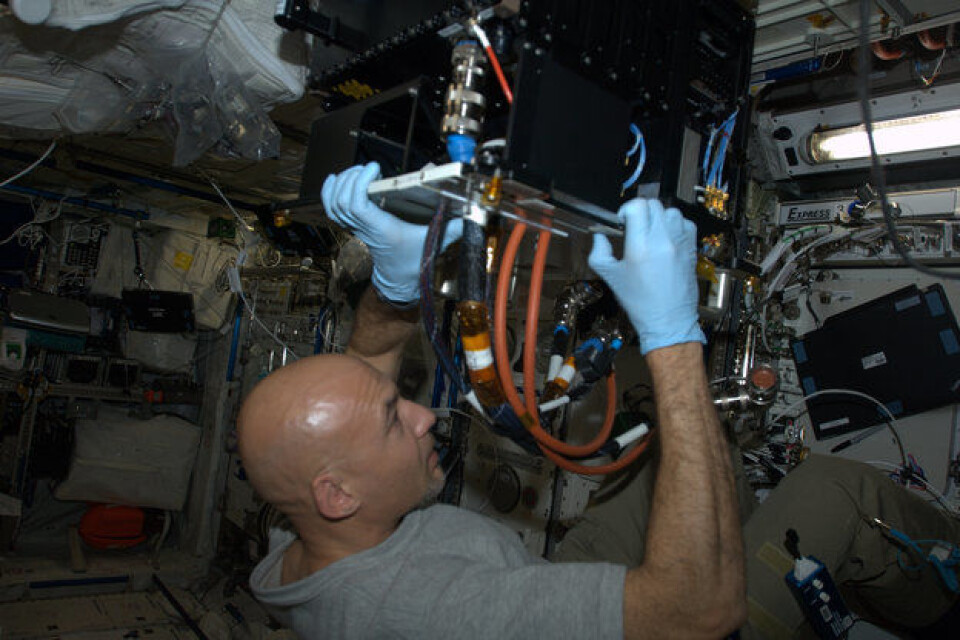 ESAs Astronaut Luca Parmitano installerer et eksperiment ombord på romstasjonen. (Foto: NASA/ESA)