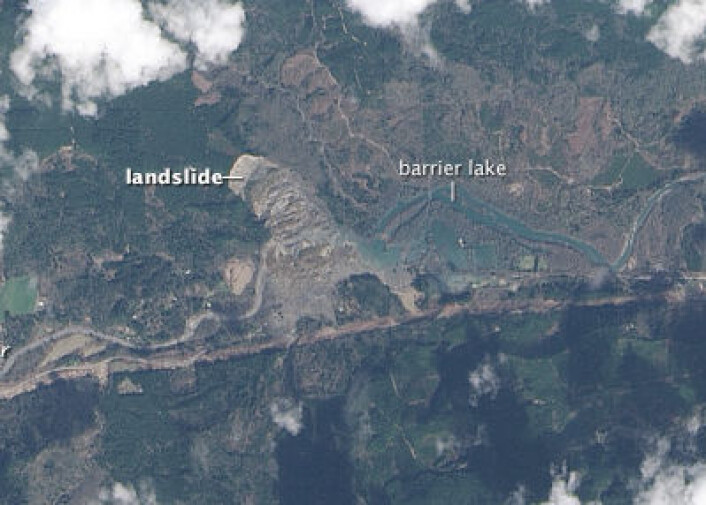 Bilde tatt fra satellitten Landsat-8 over skredområdet ved Oso, Washington 23. mars. (Foto: (NASA Earth Observatory)) Bilde tatt fra satellitten Landsat-8 over skredområdet ved Oso, Washington 23. mars. (Foto: (NASA Earth Observatory))