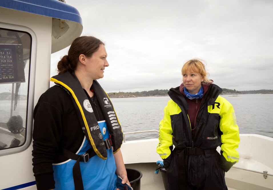 Kate McQueen (left), Lise Doksæter Sivle and their colleagues have several activities underway to find out more about how seismic survey activity can affect fish during the spawning period.