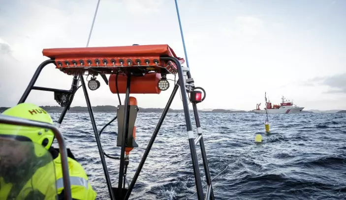 From the SpawnSeis trial. The white and red boat in the background is the seismic vessel. The yellow 'cigar' is a hydrophone that the researchers used to measure the noise level the cod was exposed to.