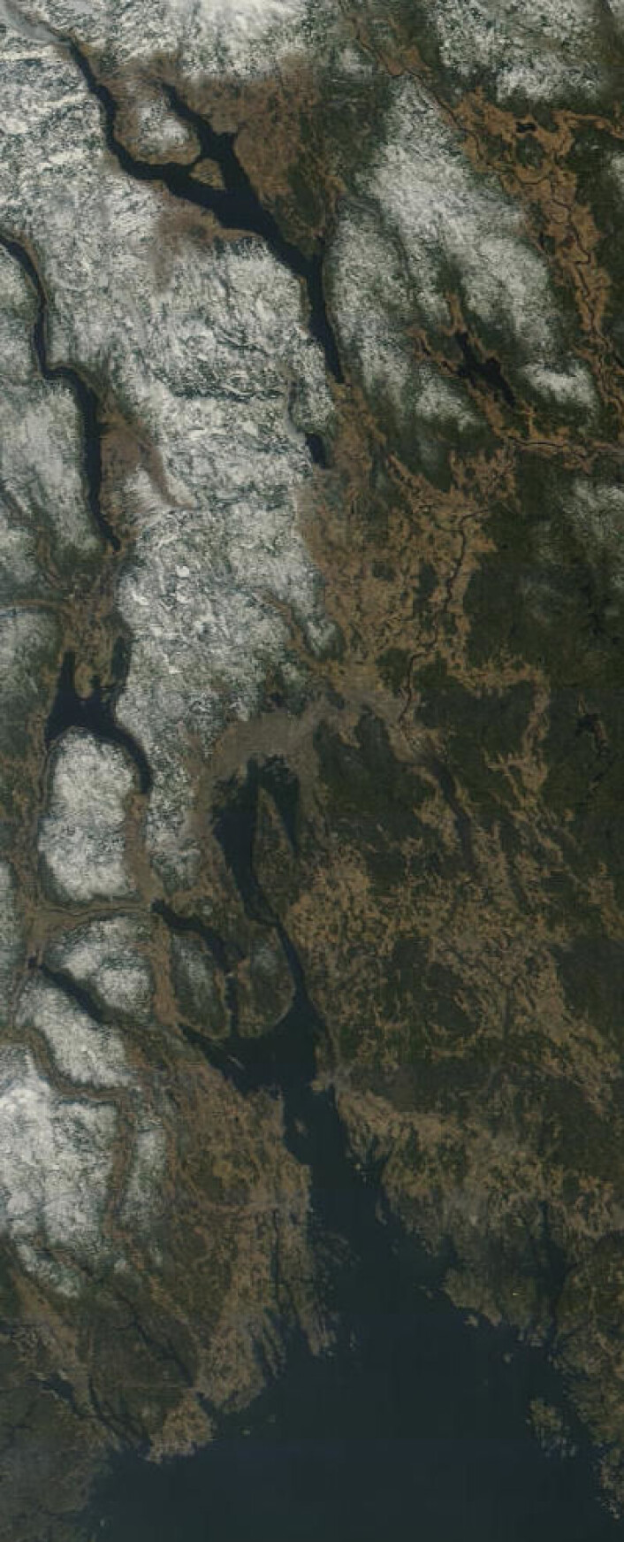 Oslo-området i vårsol, sett fra NASAs satellitt Terra fredag 28. mars. (Foto: (NASA Terra MODIS)) Oslo-området i vårsol, sett fra NASAs satellitt Terra fredag 28. mars. (Foto: (NASA Terra MODIS))