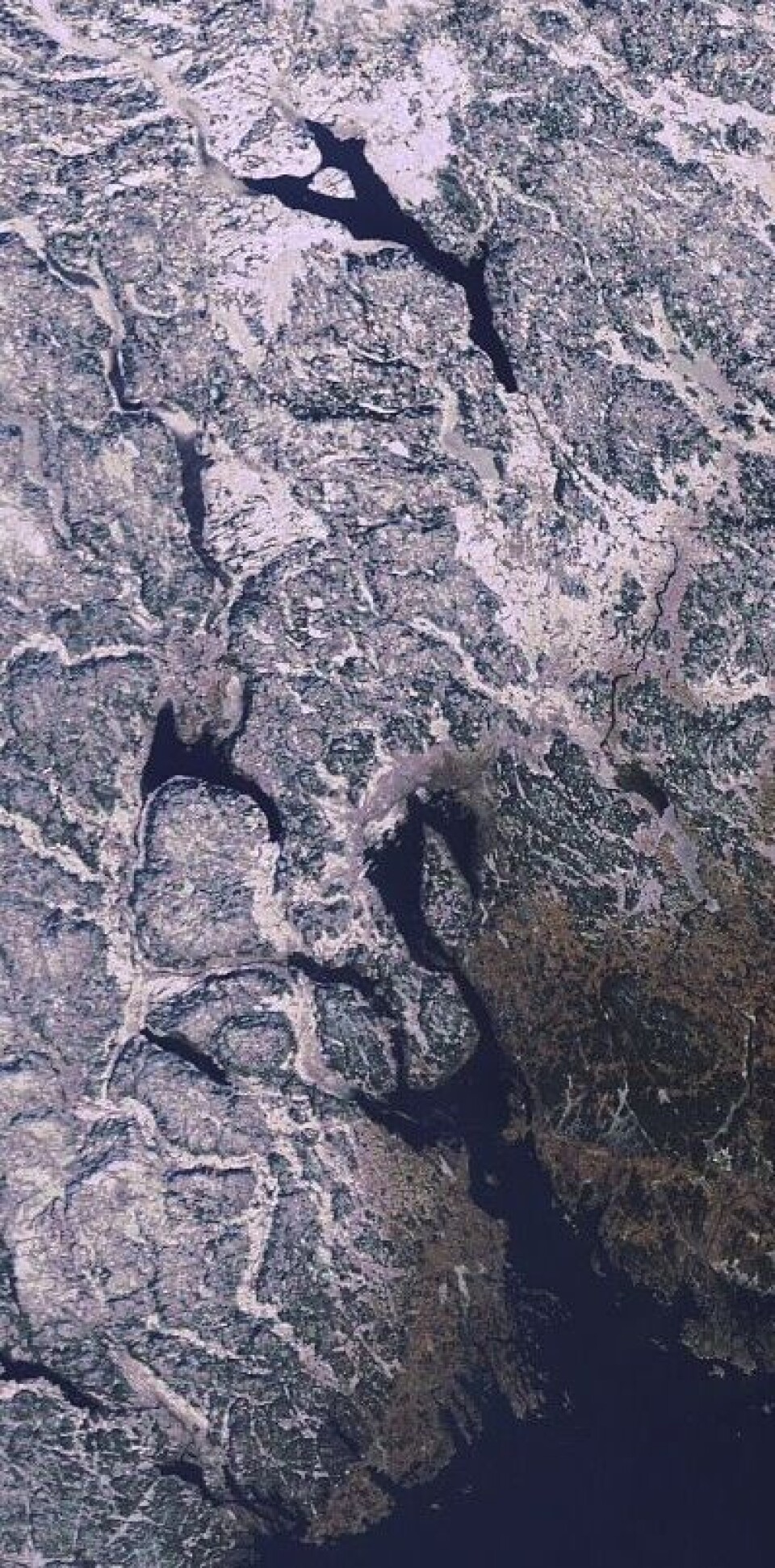 Våren nærmer seg hovedstaden sydfra. Her sett fra ENVISAT fredag 2. mars. (Foto: (ESA MERIS))