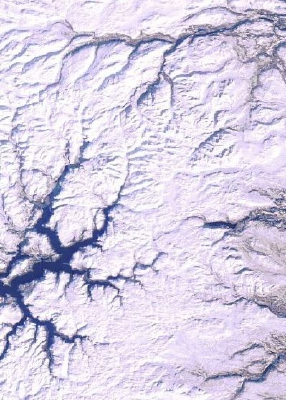Fortsatt vinter i Fjell-Noreg, i følge ENVISAT fredag 2. mars. Men la det seg egentlig noe is på Vangsmjøsa i år? (Foto: (ESA MERIS))
