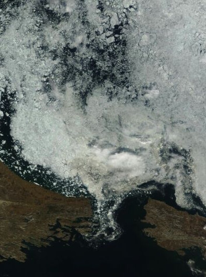 Karaporten sett fra NASAs satellitt Terra 1. juli. (Redusert oppløsning for å gi bedre oversikt, nord opp til venstre). (Foto: (NASA Terra MODIS)) Karaporten sett fra NASAs satellitt Terra 1. juli. (Redusert oppløsning for å gi bedre oversikt, nord opp til venstre). (Foto: (NASA Terra MODIS))