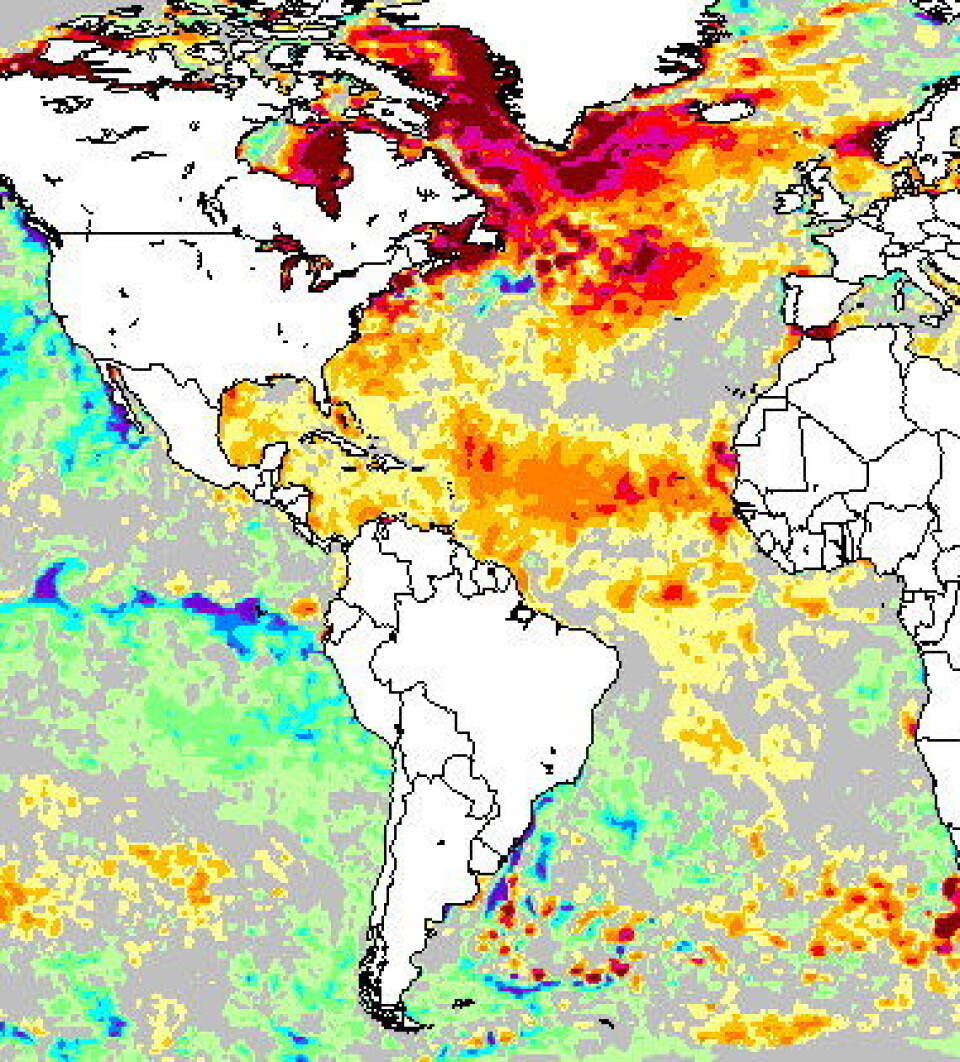 Det koker nok ikke, men havet er definitivt varmt rundt Grønland, her sett fra satellitt 19 august. Hvor mye vil Grønlandsisen krympe i år? (NOAA)