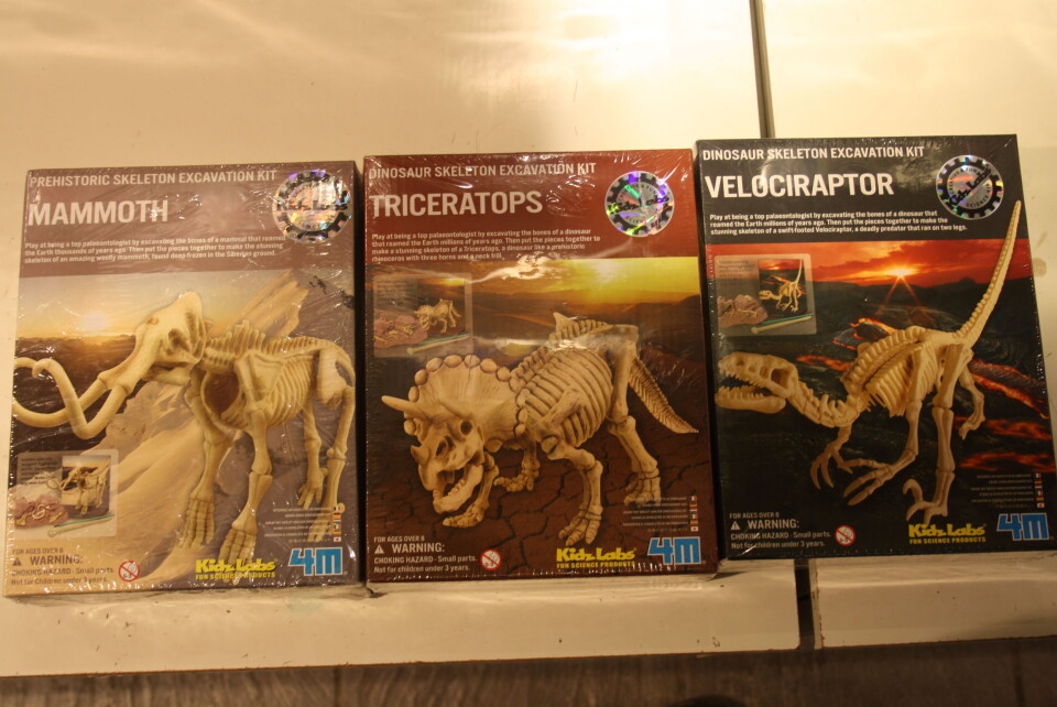 Byggesettet Dinosaur Skeleton Excavation Kit finnes i flere utgaver. Foto: Foto: Erlend A.H. Saugstad