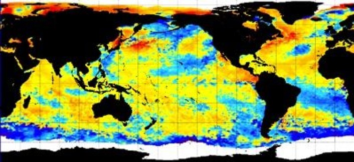 Satellittmålt temperatur (avvik fra normalen) i havoverflaten denne uken. (Foto: (NOAA)) Satellittmålt temperatur (avvik fra normalen) i havoverflaten denne uken. (Foto: (NOAA))