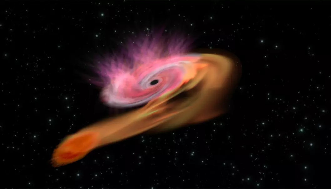 Vanligvis er svarte hull usynlige. Men det nyoppdagede svarte hullet ble oppdaget fordi det spiste en stjerne, og under måltidet ble det sendt ut lys – et fenomen kjent som en TDE.