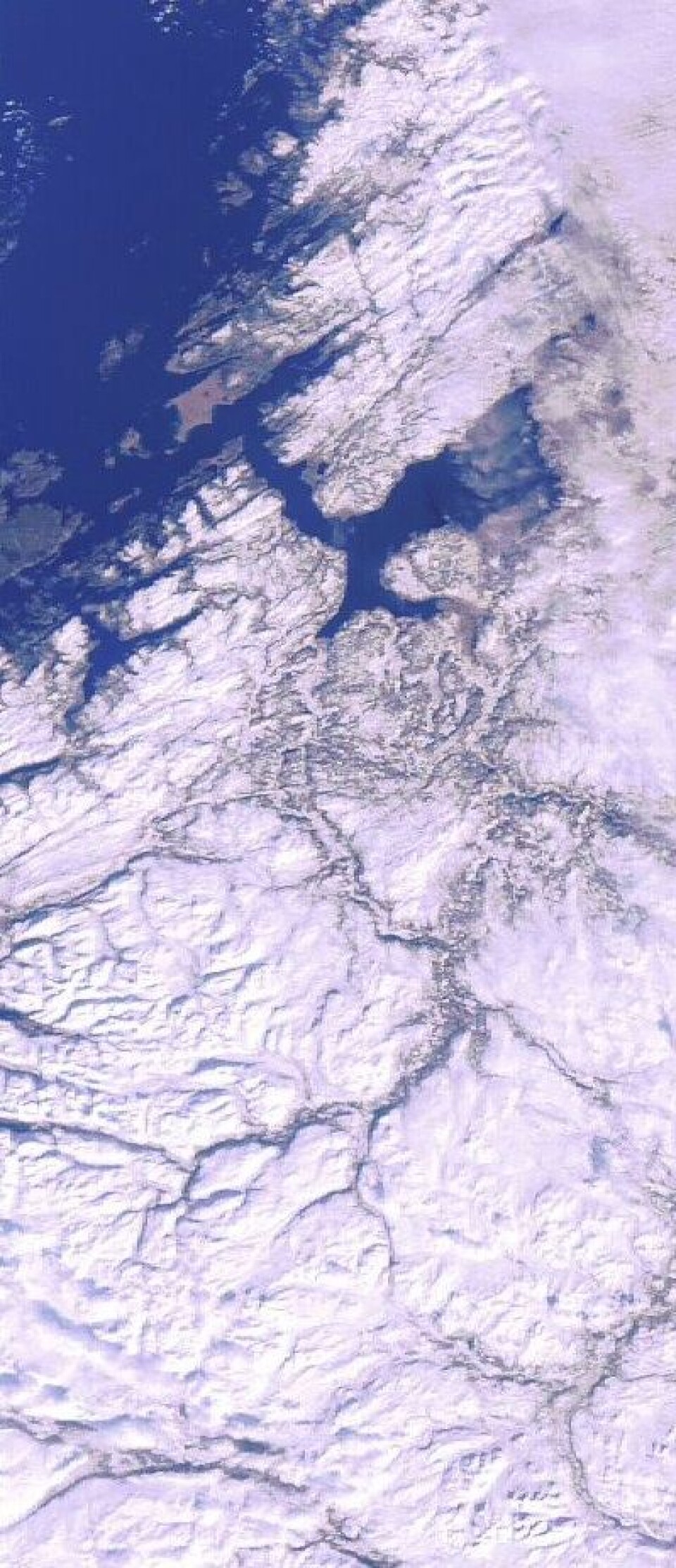 Ikke hver dag det er så skyfritt i Trøndelagen som torsdag 8. mars. Men det ser ut til at våren bare har kommet til Ørland foreløpig. (Foto: (ESA ENVISAT))