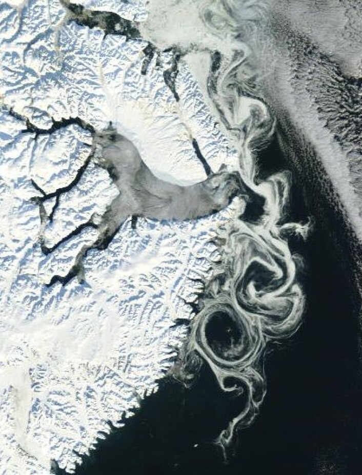 Drivisen kan anta kunstneriske former. Her sett utenfor Scoresby Sund på Grønland 18. oktober fra NASAs satellitt Terra. (Foto: (NASA Terra MODIS)) Drivisen kan anta kunstneriske former. Her sett utenfor Scoresby Sund på Grønland 18. oktober fra NASAs satellitt Terra. (Foto: (NASA Terra MODIS))