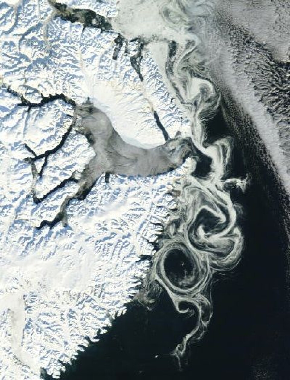 Drivisen kan anta kunstneriske former. Her sett utenfor Scoresby Sund på Grønland 18. oktober fra NASAs satellitt Terra. (Foto: (NASA Terra MODIS))