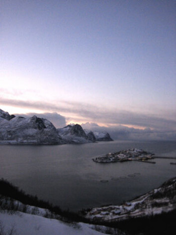 Husøya på Senja i november 2006 (Foto: Gunnar Hrafn Hrafnbjargarson) Husøya på Senja i november 2006 (Foto: Gunnar Hrafn Hrafnbjargarson)