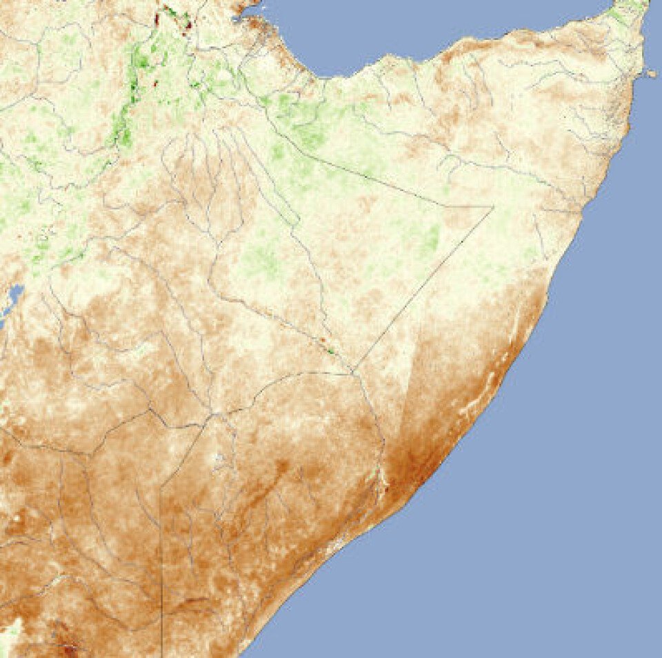 Tørken i Øst-Afrika var synlig i satellittbilder allerede i januar i år. Her et bilde fra NASA basert på analyse av bilder fra den europeiske SPOT-satellitten tatt 1. januar og 10. januar. (Foto: (Analyse: NASA. Rådata: SPOT))