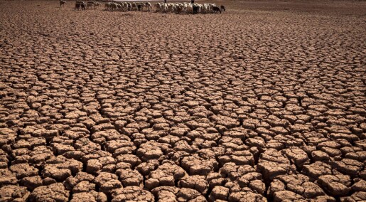 MIT-studie viser ikke at klimakrisen kan avblåses MIT-studie viser ikke at klimakrisen kan avblåses