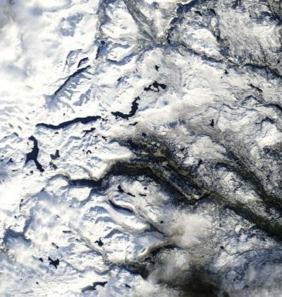 Det er snø i fjellet, men isfritt på Tyin, Bygdin, Vangsmjøsa og Gjende foreløpig. I hvert fall i følge dette bildet som NASAs satellitt Terra tok 26. oktober. (Foto: (NASA Terra MODIS))