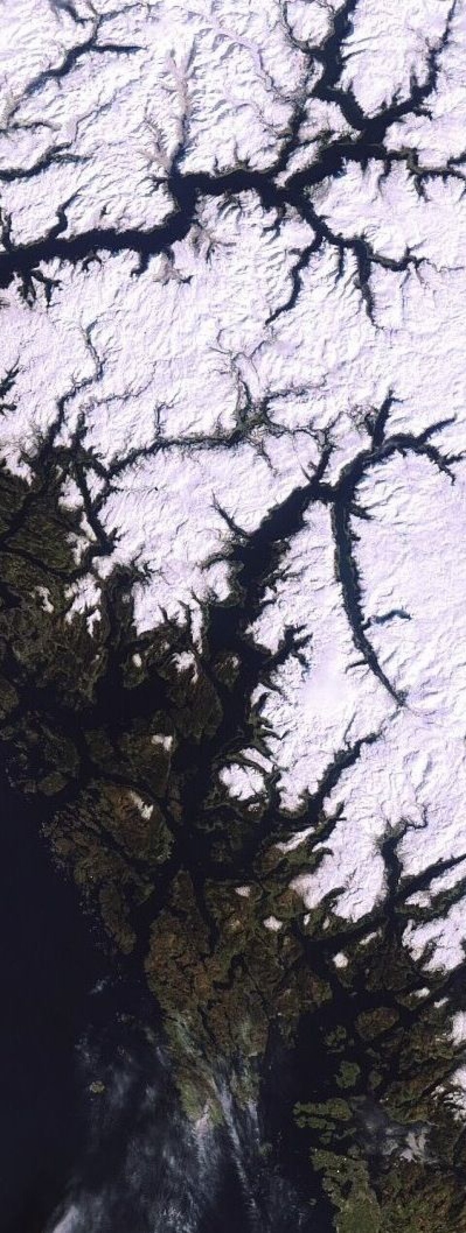 Vestlandet i klarvær, sett fra Envisat 23. mars. (Foto: (ESA MERIS))