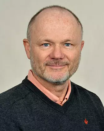 Bjørn Bjorvatn is a professor of Medicine at the University of Bergen.